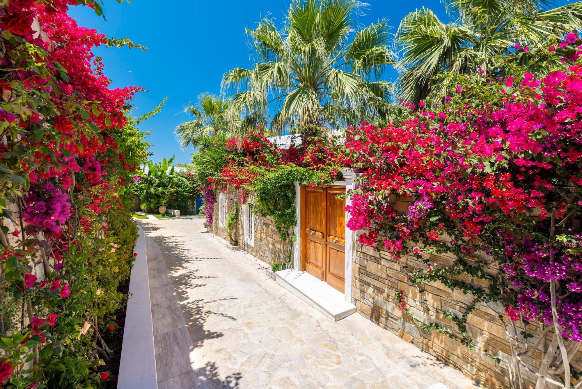 Porto Zante Villas And Spa トラガキオン エクステリア 写真